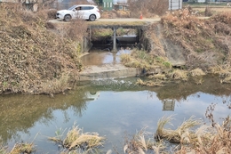 시흥시, 보통천 ‘녹색 물질·거품’ 확인… 폐수 유출 업체 전면 조사