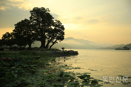 양평군, '환경교육 선구도시' 도약… 세대 맞춤형 체험 교육 구축